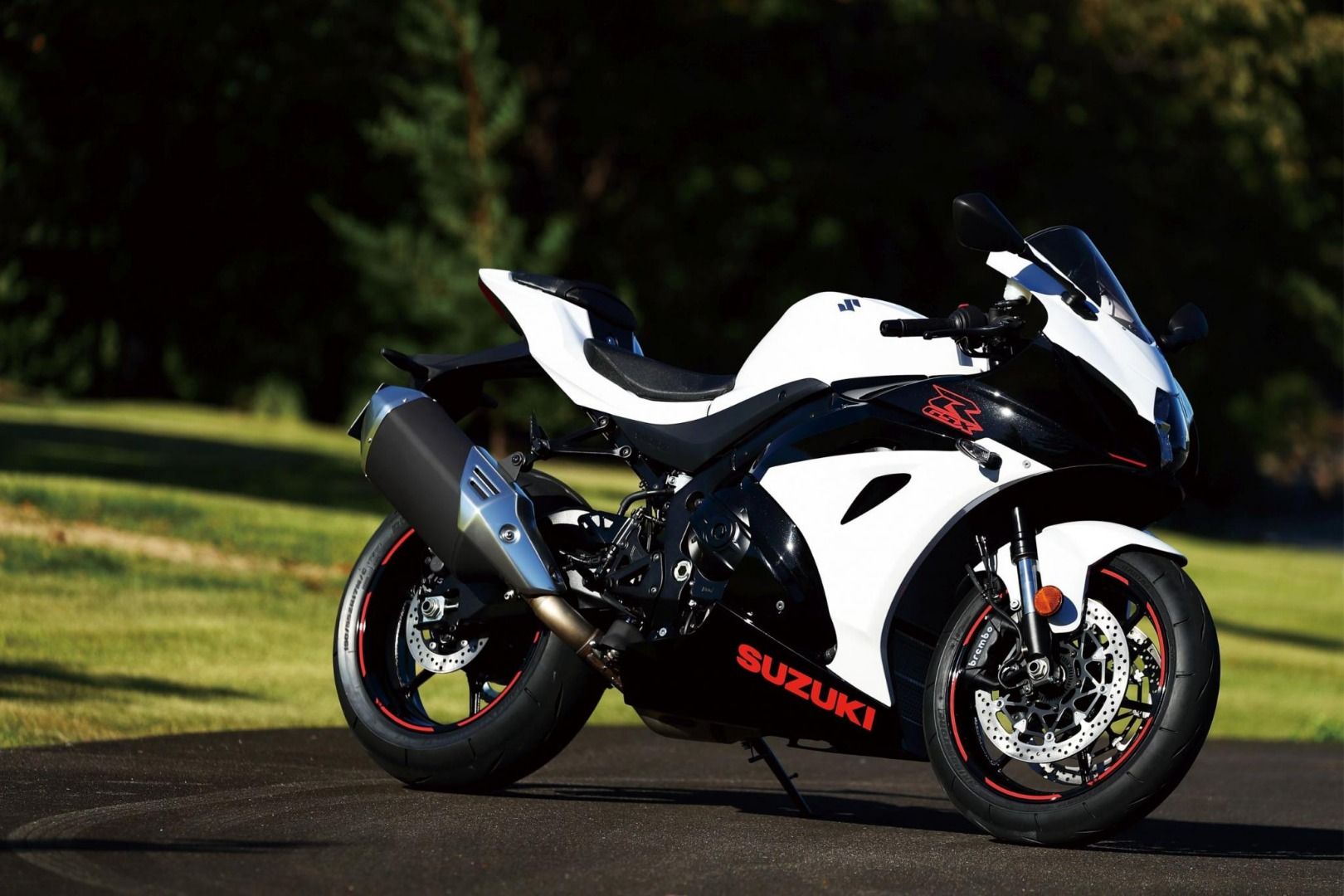 Suzuki GSX-R1000 y GSX-R1000 R 2019