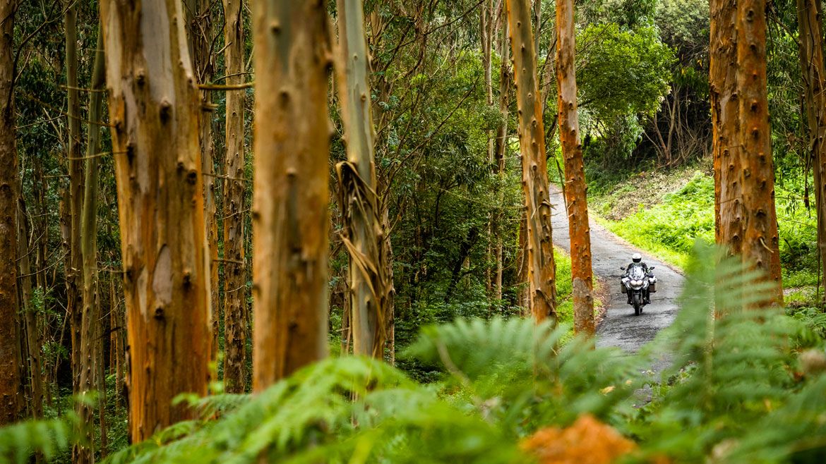 Especial Turismo: Galicia Salvaje