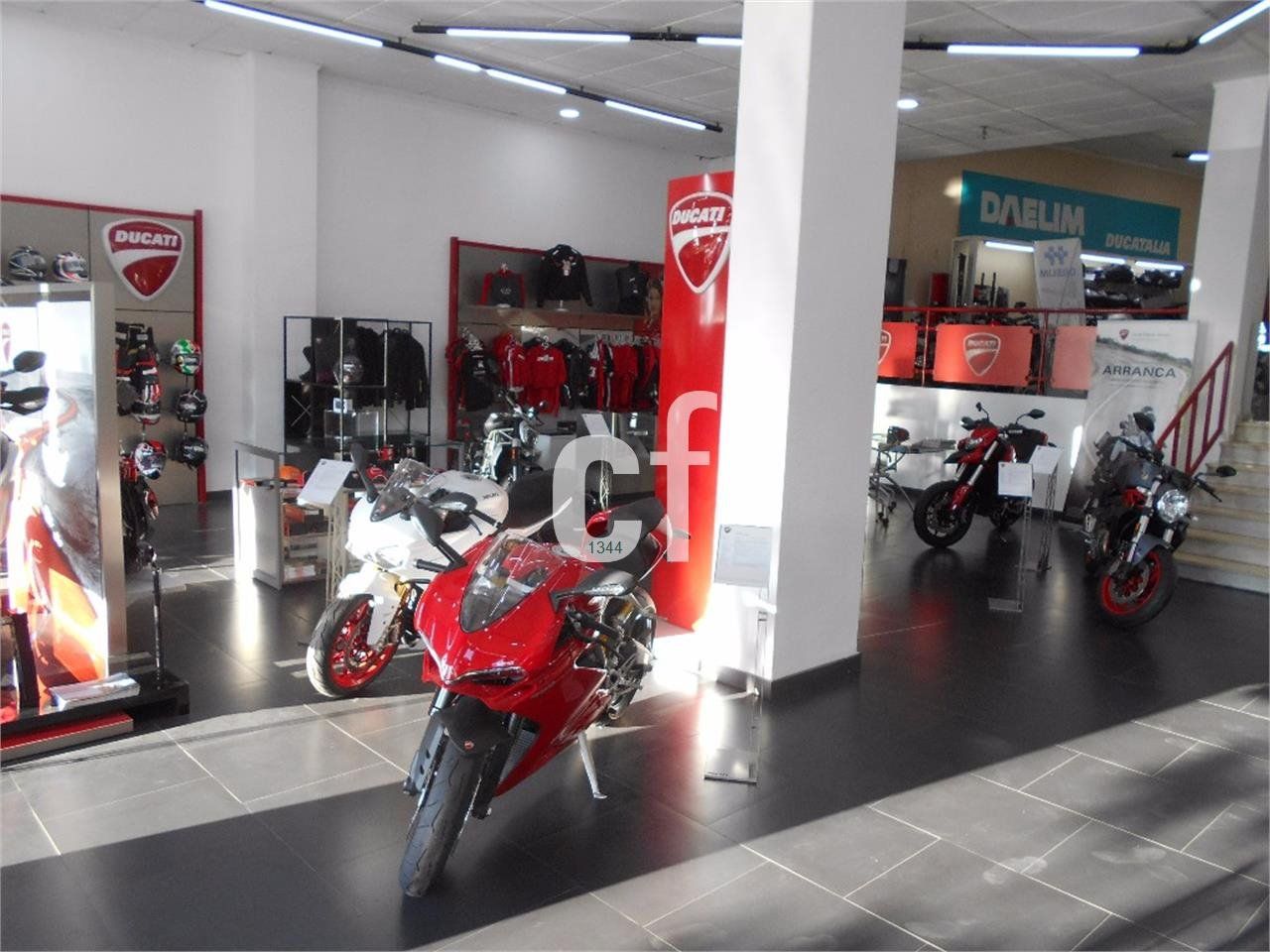 Ducati Monster 797