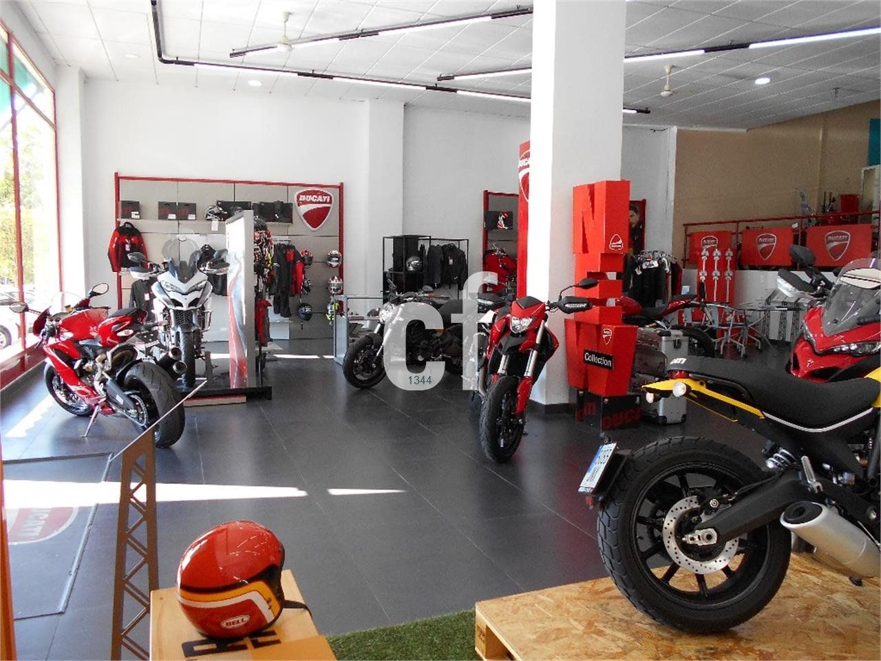 Ducati Monster 797