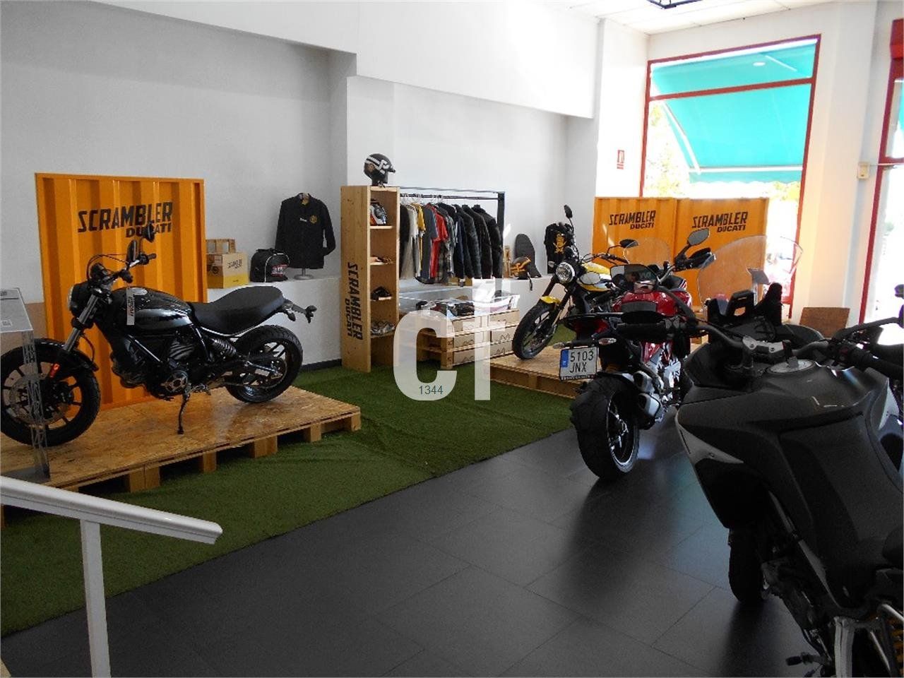 Ducati Monster 797