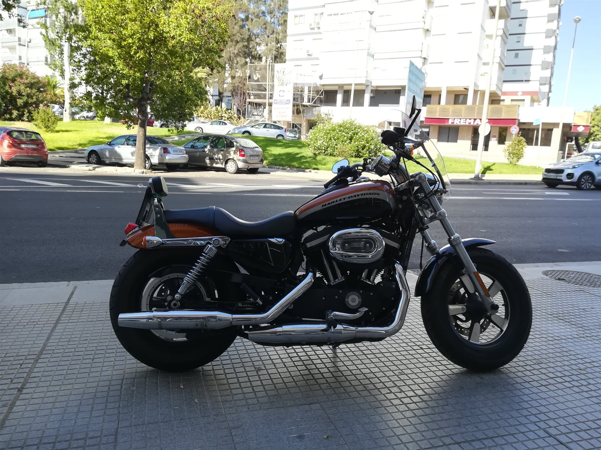 Harley-Davidson Sportster XL 1200C Custom LIMITED EDITION