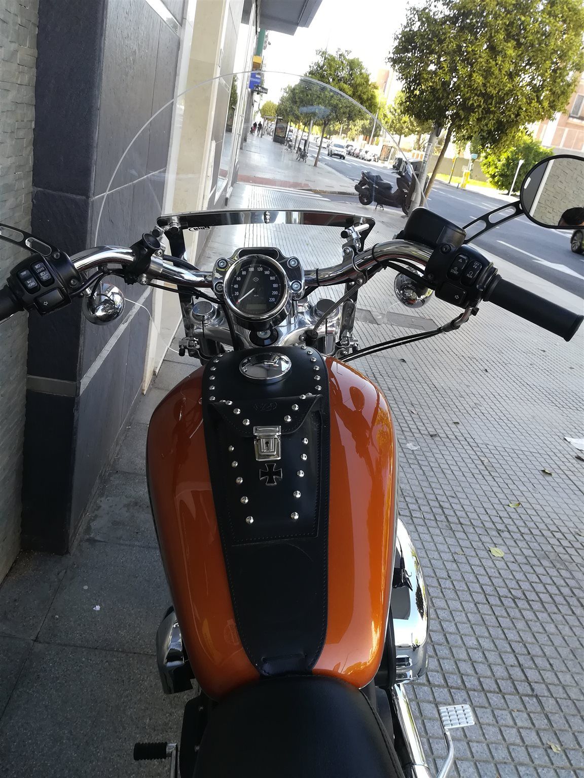 Harley-Davidson Sportster XL 1200C Custom LIMITED EDITION