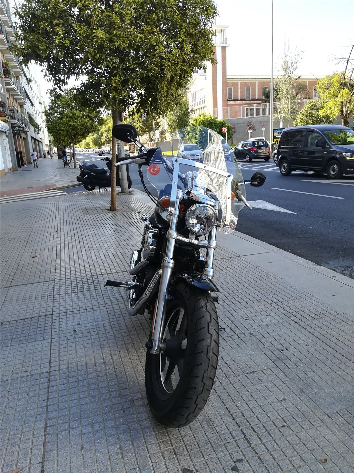 Harley-Davidson Sportster XL 1200C Custom LIMITED EDITION