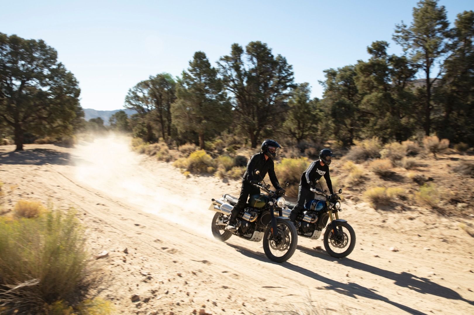Triumph Scrambler 1200 XC & XE