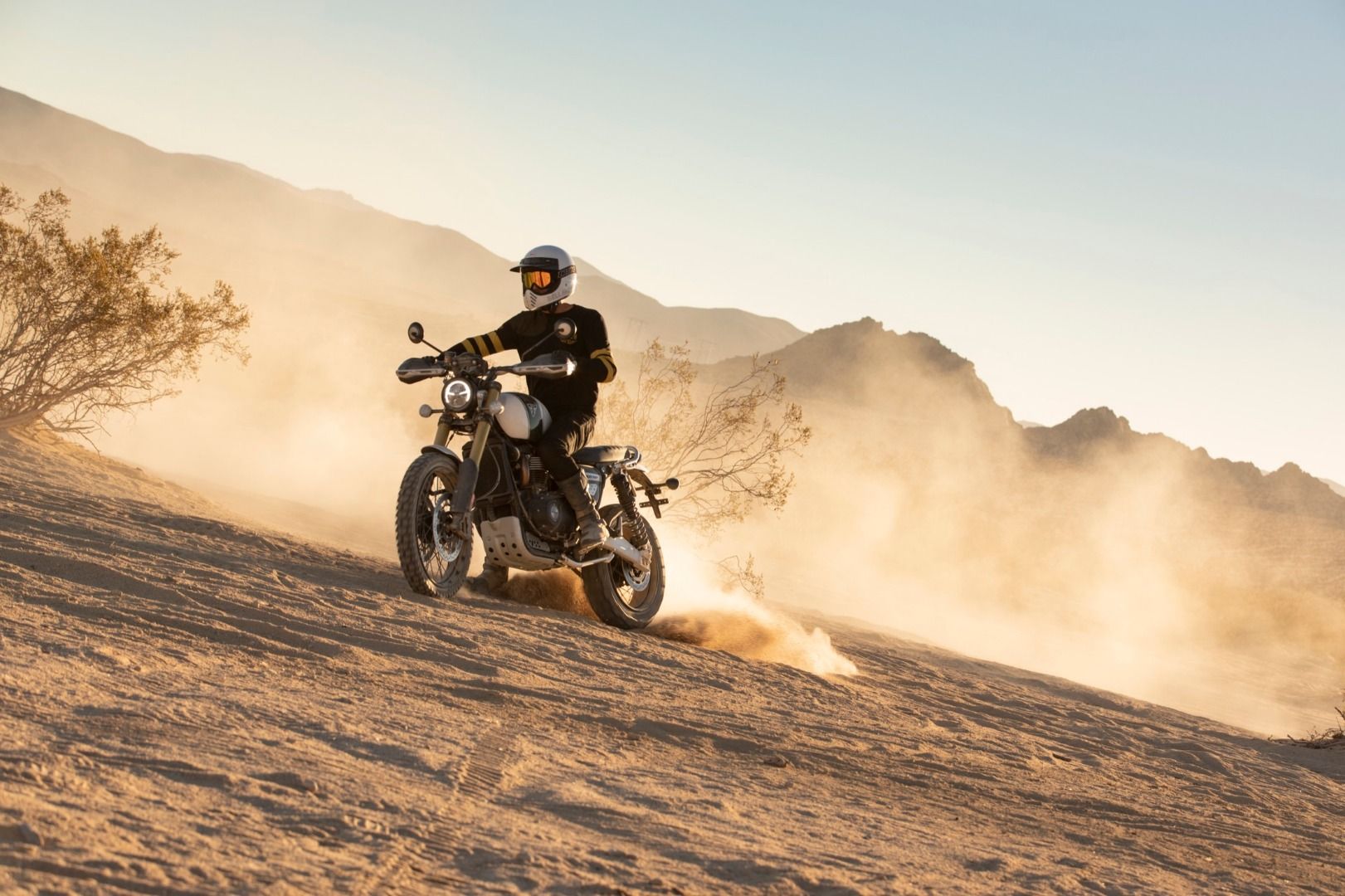 Triumph Scrambler 1200 XC & XE