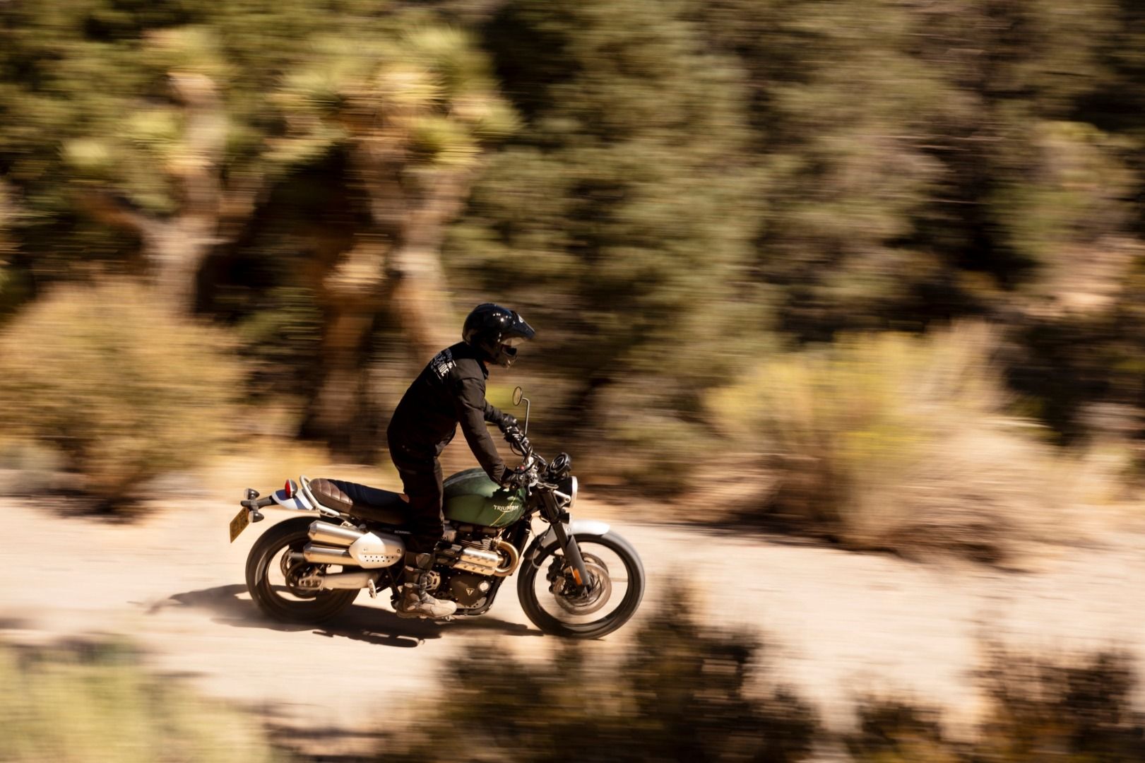 Triumph Scrambler 1200 XC & XE