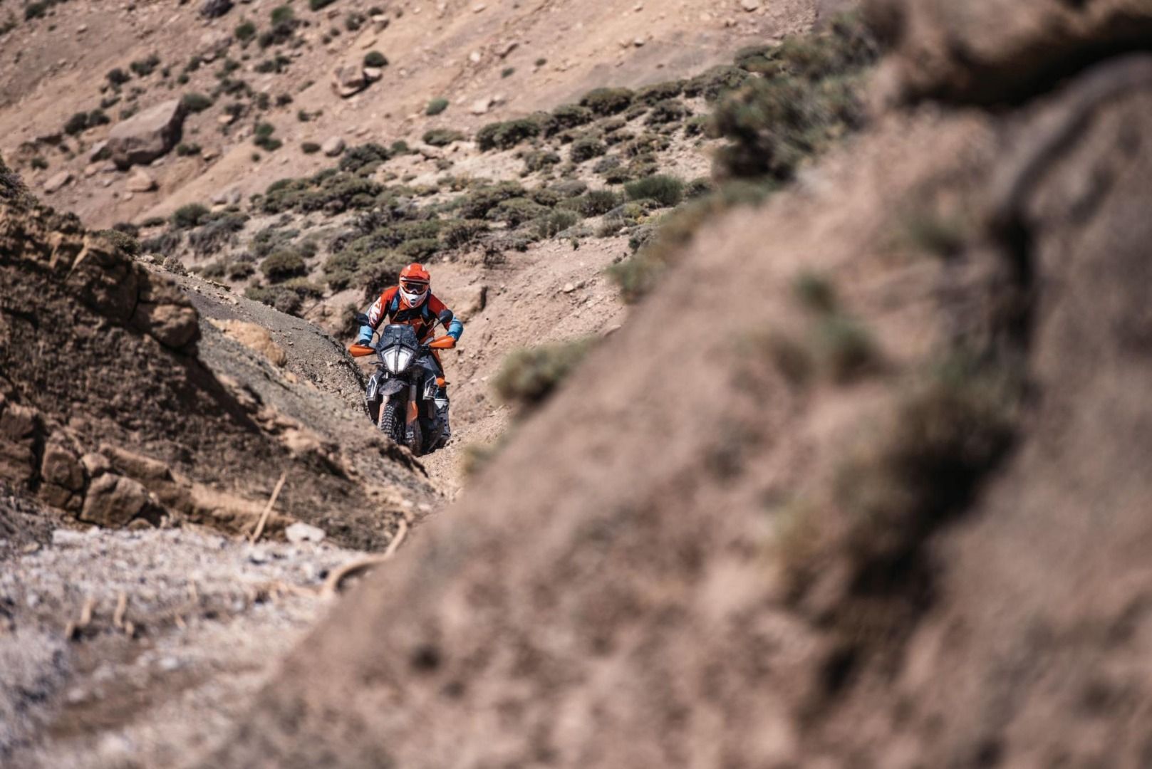 KTM 790 Adventure 2019
