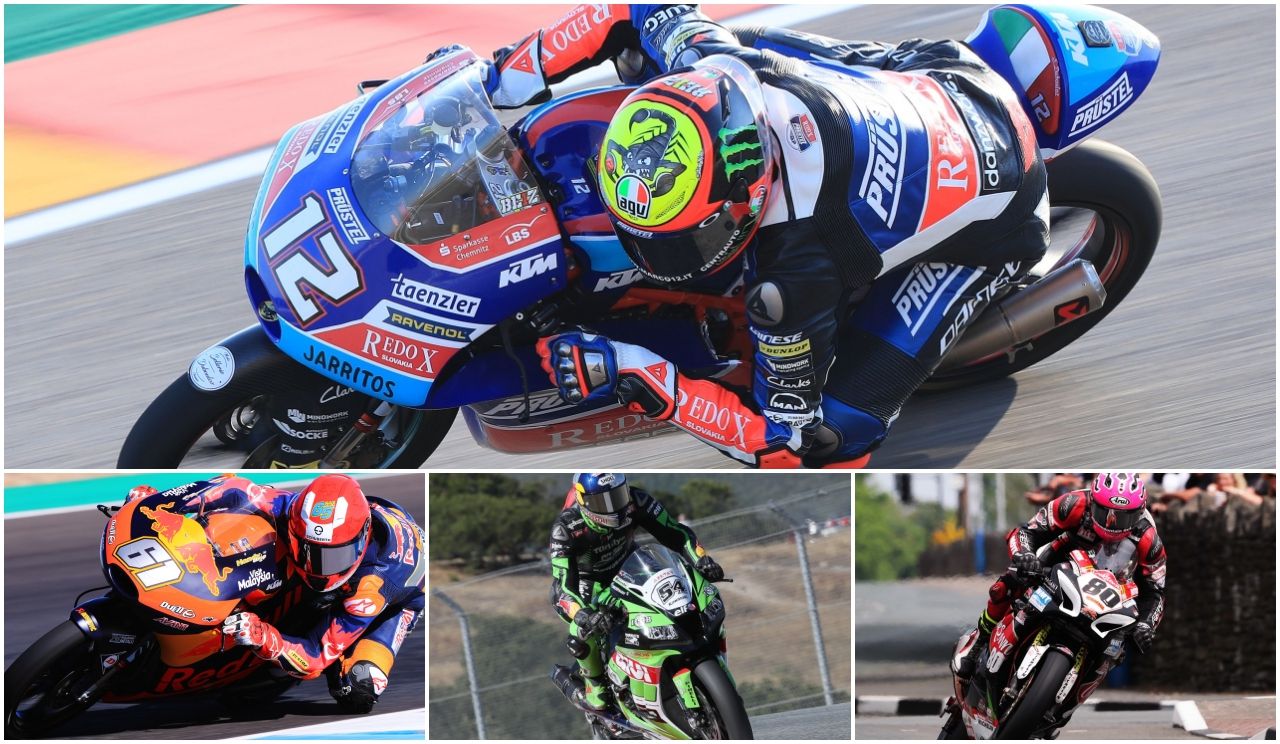 Marco Bezzecchi, mejor piloto revelación 2018