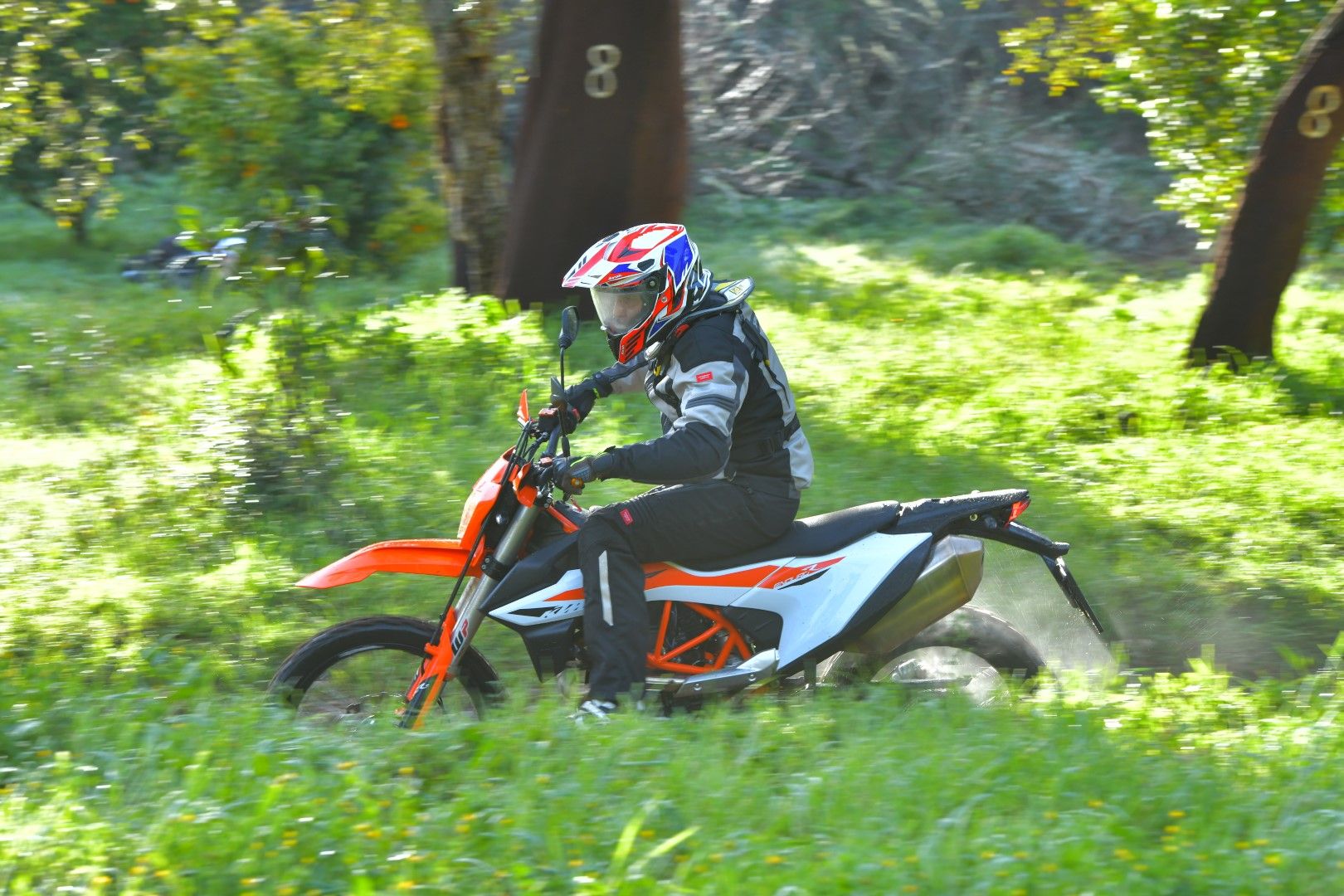 KTM 690 Enduro R 2019