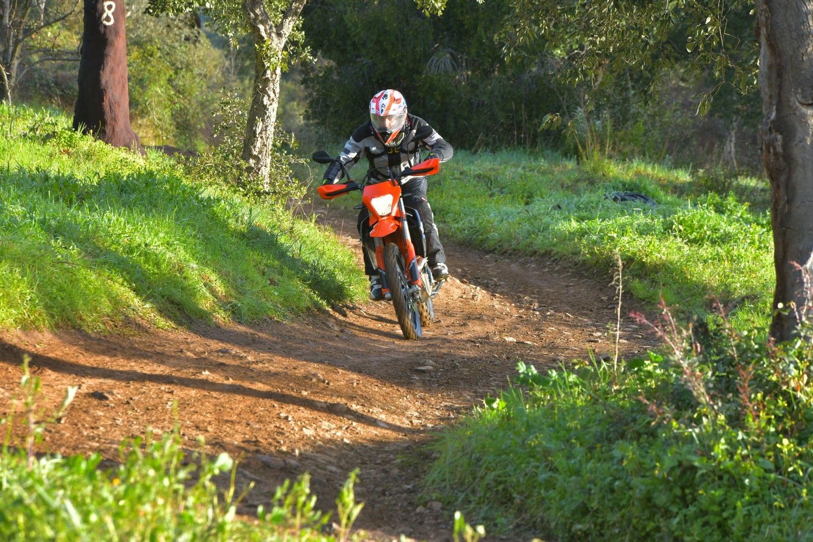 KTM 690 Enduro R 2019