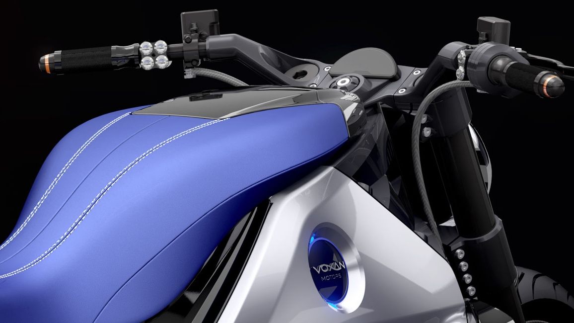 Max Biaggi / Voxan Wattman