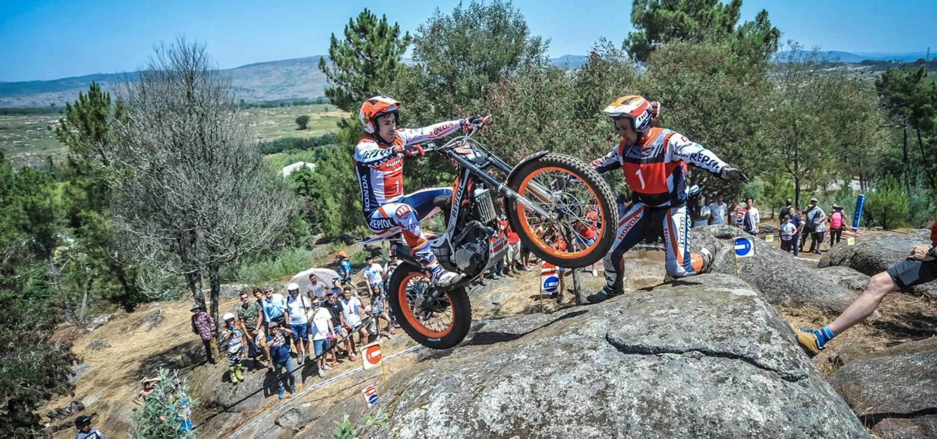 TrialGP