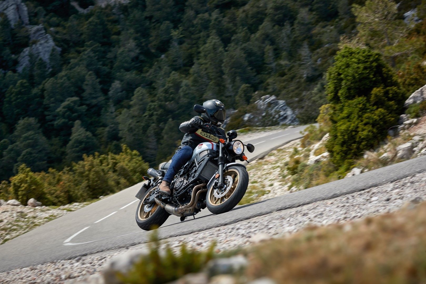 Yamaha  XSR700 Xtribute 2019