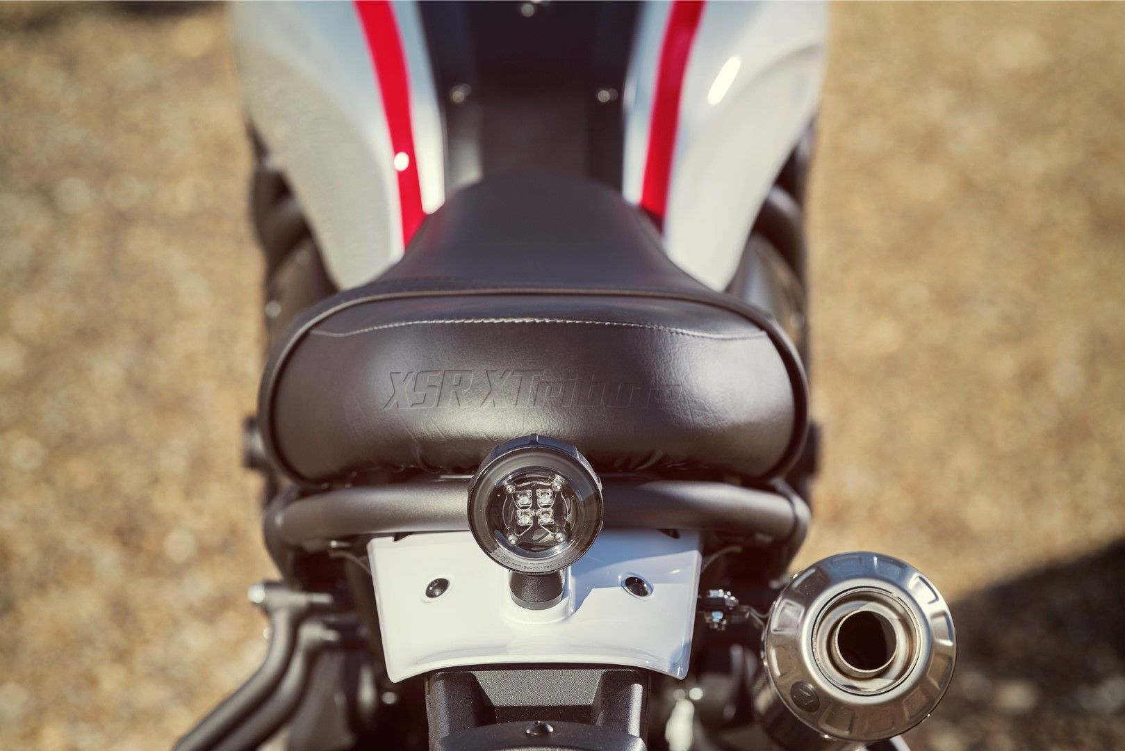 Yamaha  XSR700 Xtribute 2019