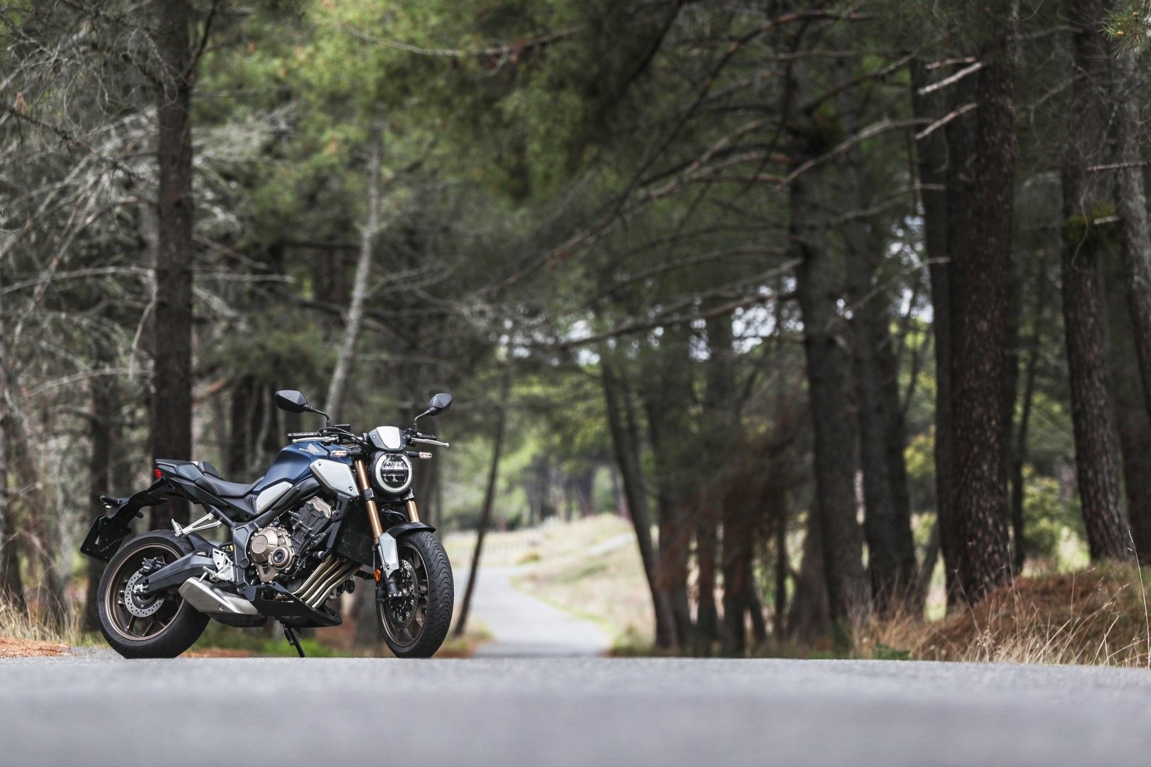 Superprueba de la Honda CB650R