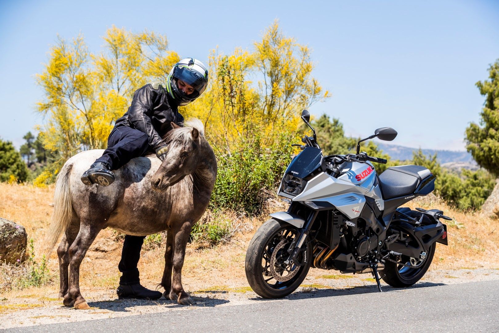 Superprueba de la Suzuki Katana 2019