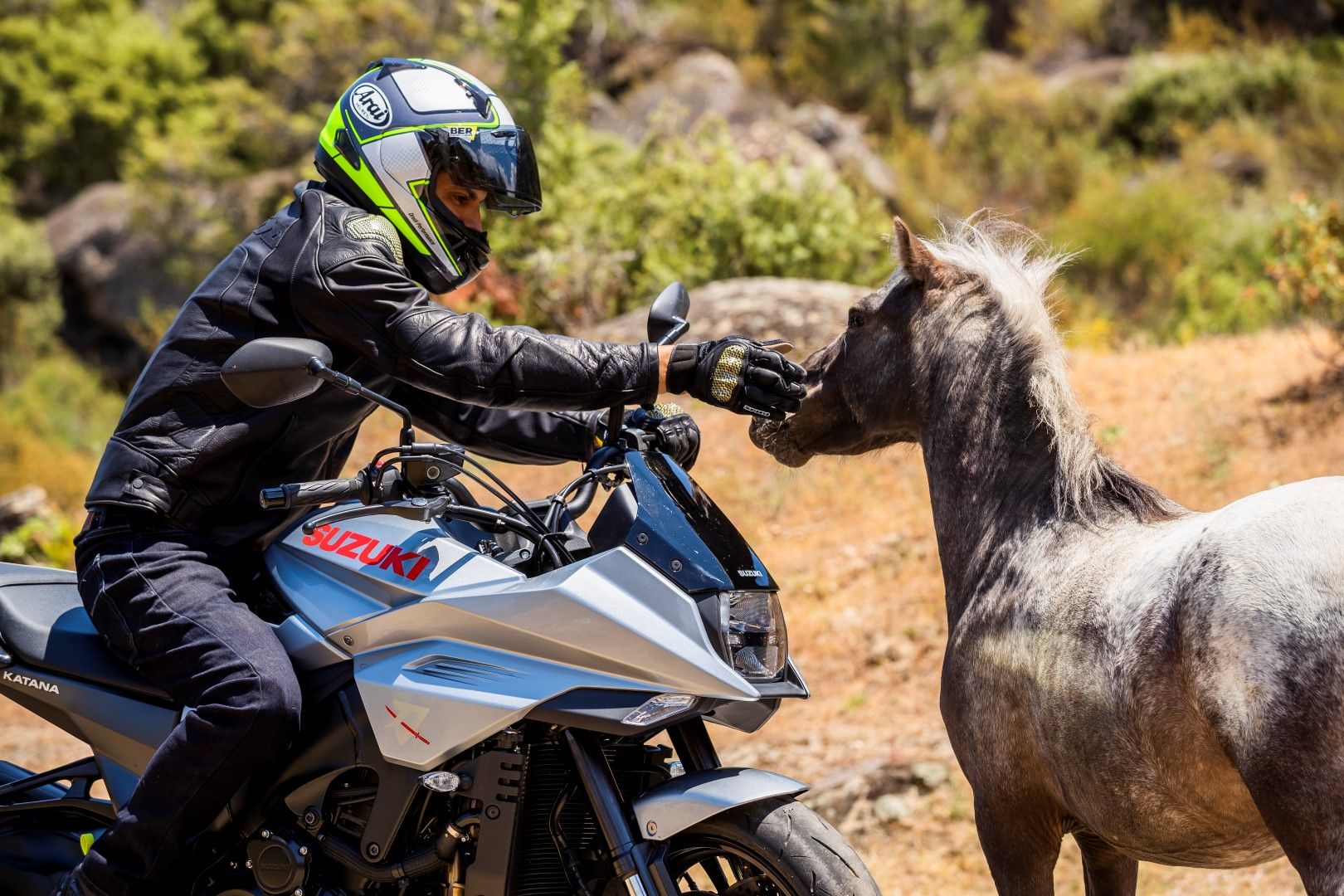 Superprueba de la Suzuki Katana 2019