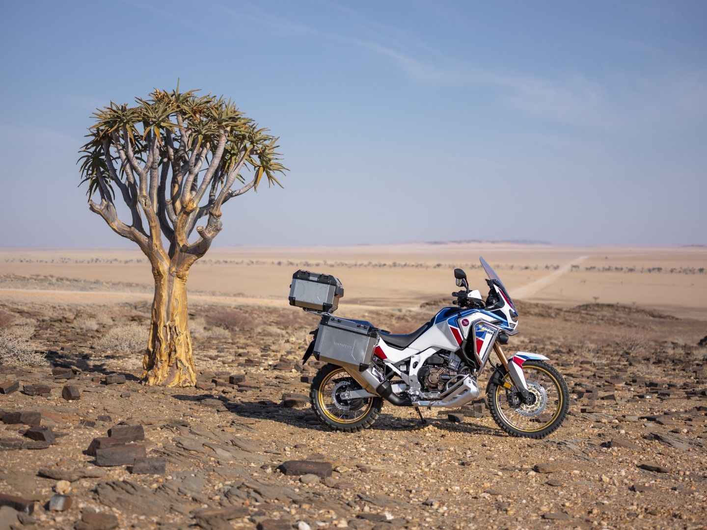 Nueva Honda CRF1100L Africa Twin 2020