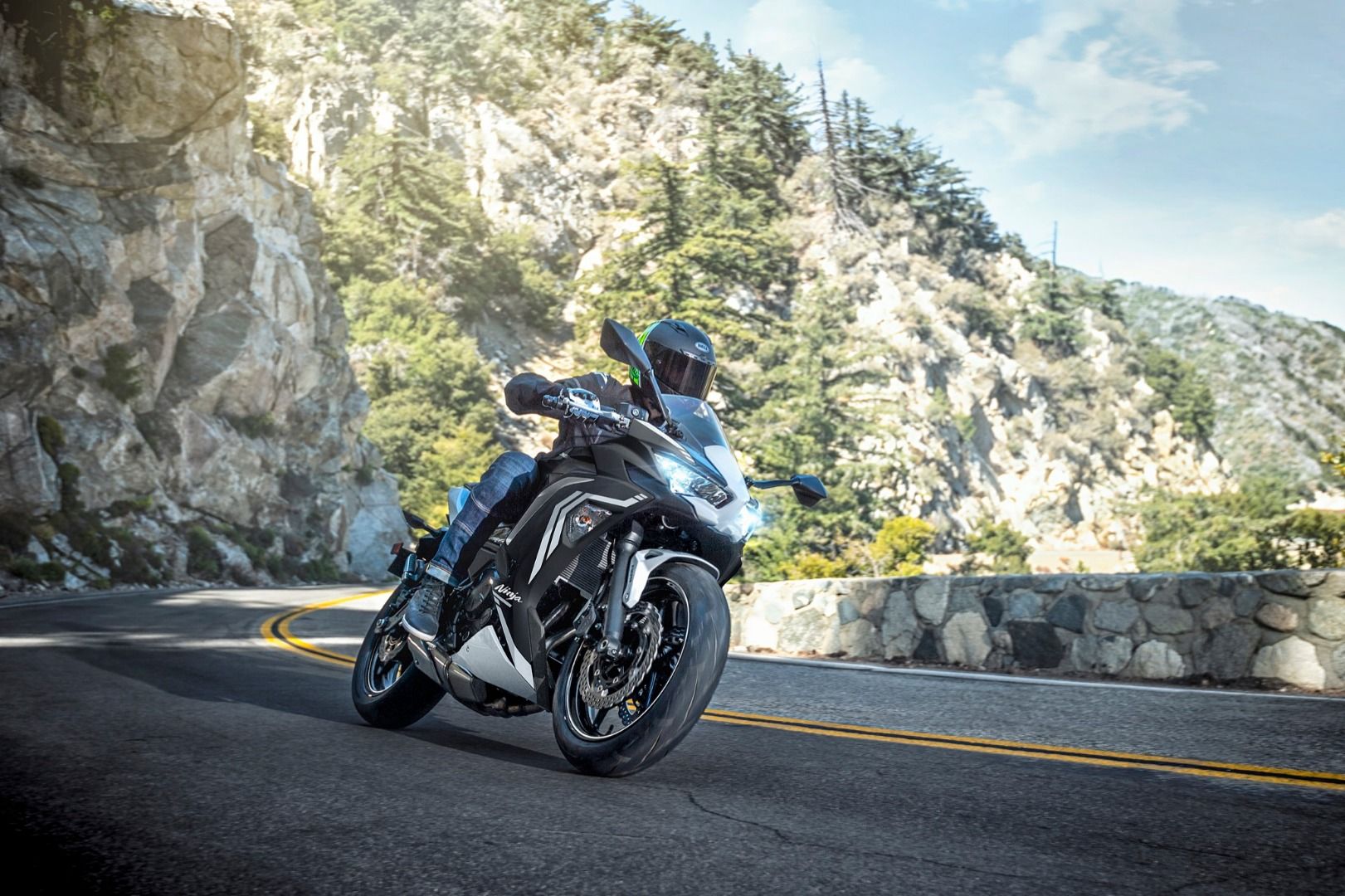 Kawasaki NInja 650 2020, Kawasaki afila la Ninja bicilíndrica