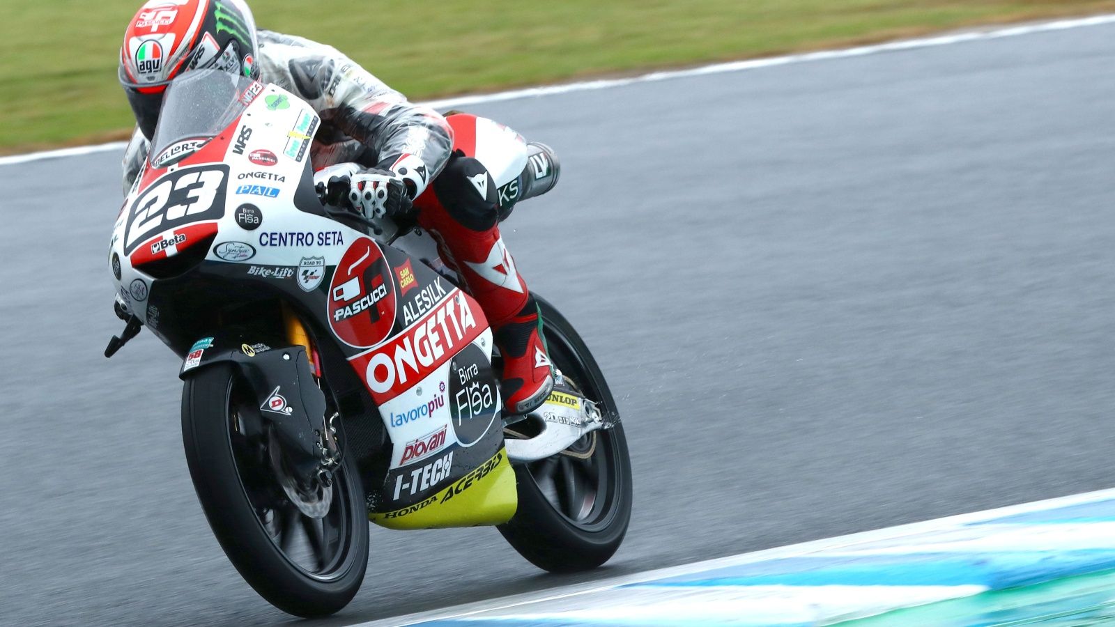 Tercera pole de la temporada para Niccolò Antonelli (Fotos: Gold & Goose).