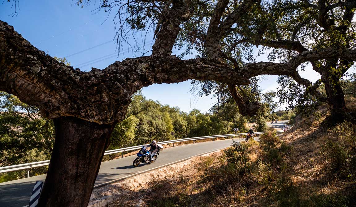Motociclismo Rally Sevilla 2019, las fotos