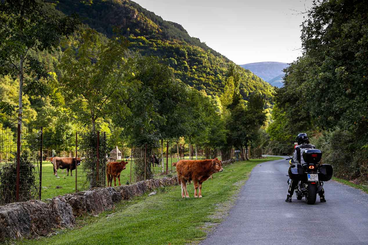 Turismo: Ruta por la Sierra de la Demanda con la BMW R 1250 RS