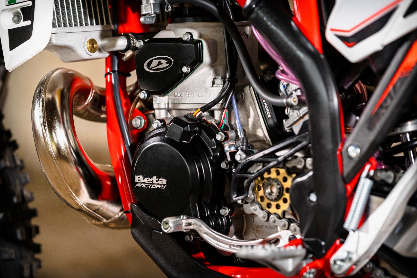Gama Beta RR 2020