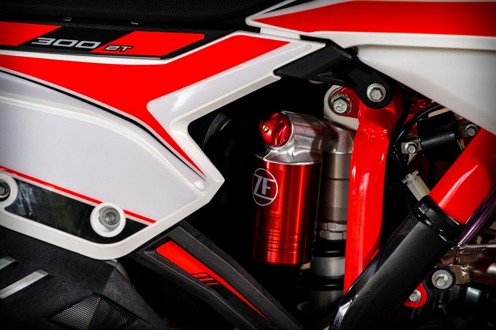 Gama Beta RR 2020