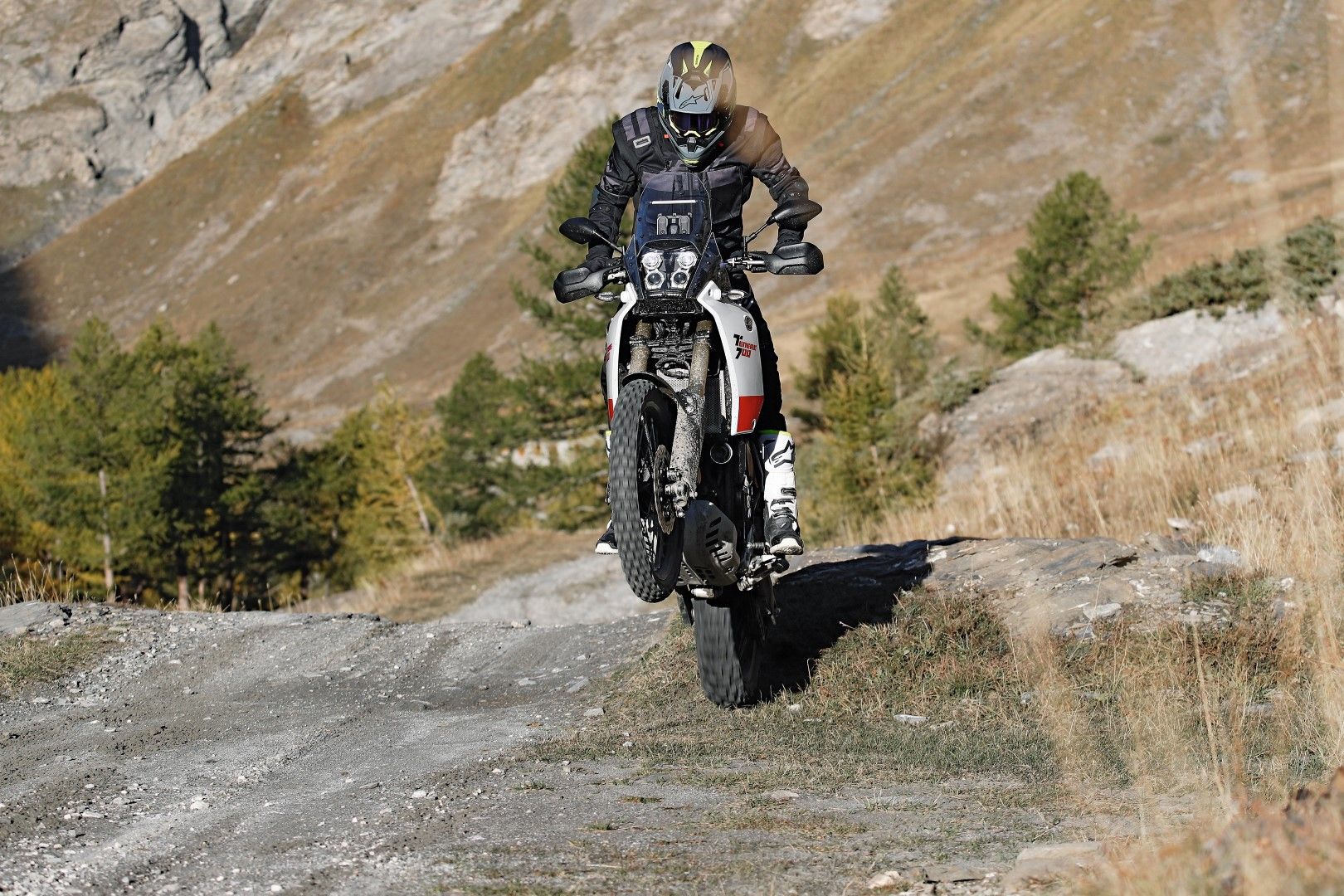 Comparativa trail: BMW F 850 GS, Honda CRF1000L África Twin, KTM 790 Adventure R, Triumph Tiger 800 XCA. Yamaha Ténéré 700