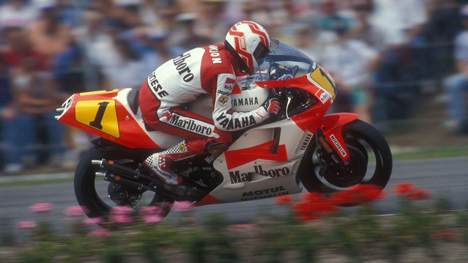 Eddie Lawson en imágenes