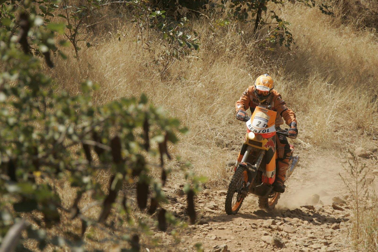 Repsol, 50 años de motor