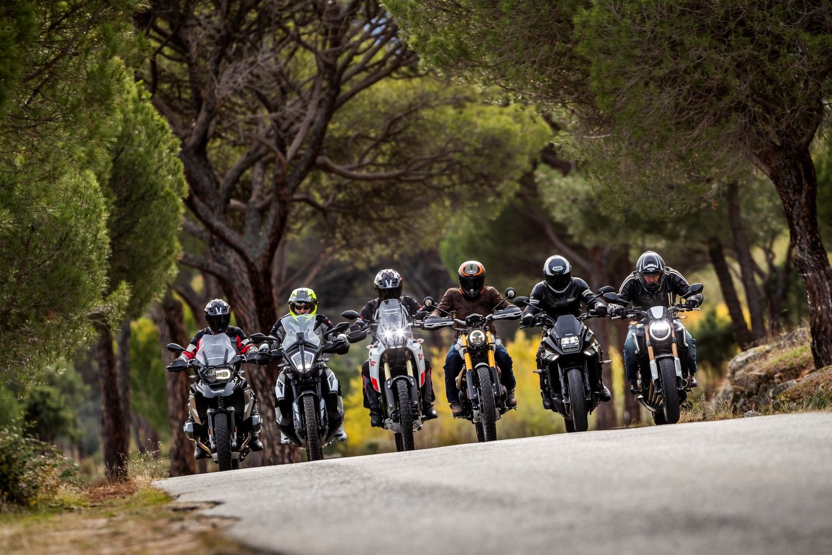 Nuestras favoritas 2019: BMW R 1250 GS, Honda CB650R, KTM 790 Adventure, Suzuki Katana, Triumph Scrambler 1200 XE, Yamaha Ténéré 700