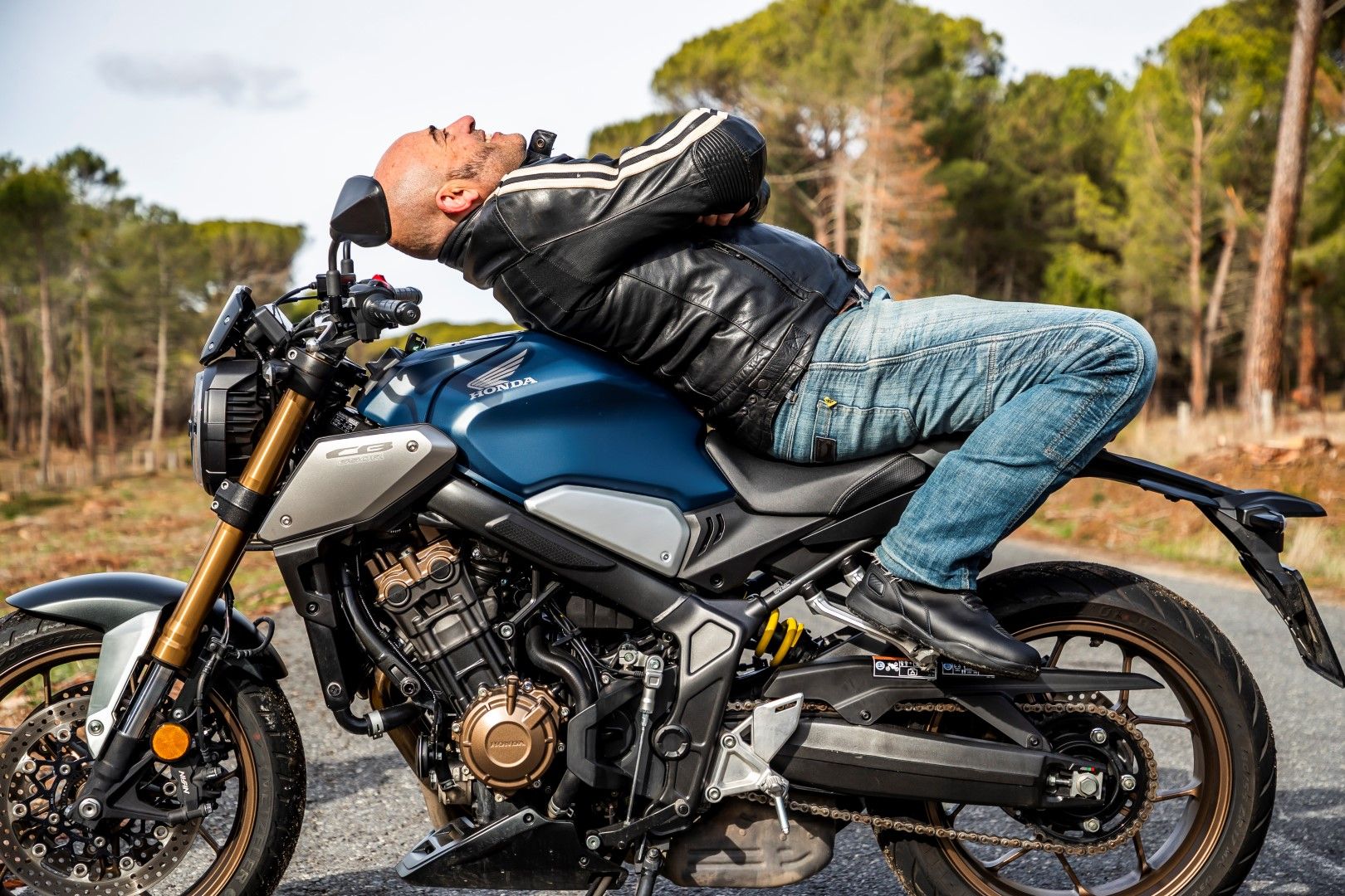 Nuestras favoritas 2019: BMW R 1250 GS, Honda CB650R, KTM 790 Adventure, Suzuki Katana, Triumph Scrambler 1200 XE, Yamaha Ténéré 700
