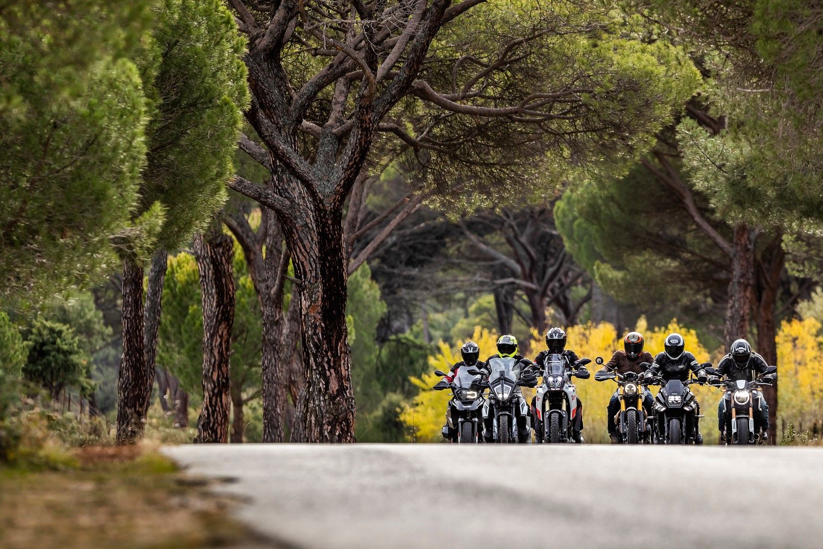 Nuestras favoritas 2019: BMW R 1250 GS, Honda CB650R, KTM 790 Adventure, Suzuki Katana, Triumph Scrambler 1200 XE, Yamaha Ténéré 700