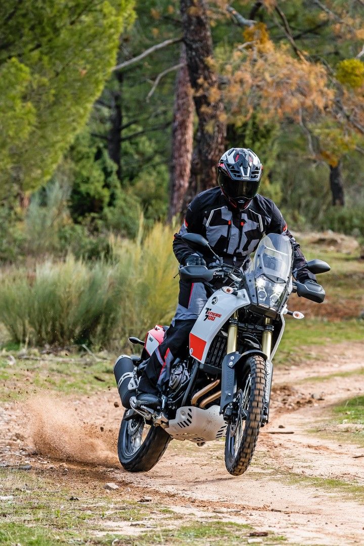 Nuestras favoritas 2019: BMW R 1250 GS, Honda CB650R, KTM 790 Adventure, Suzuki Katana, Triumph Scrambler 1200 XE, Yamaha Ténéré 700
