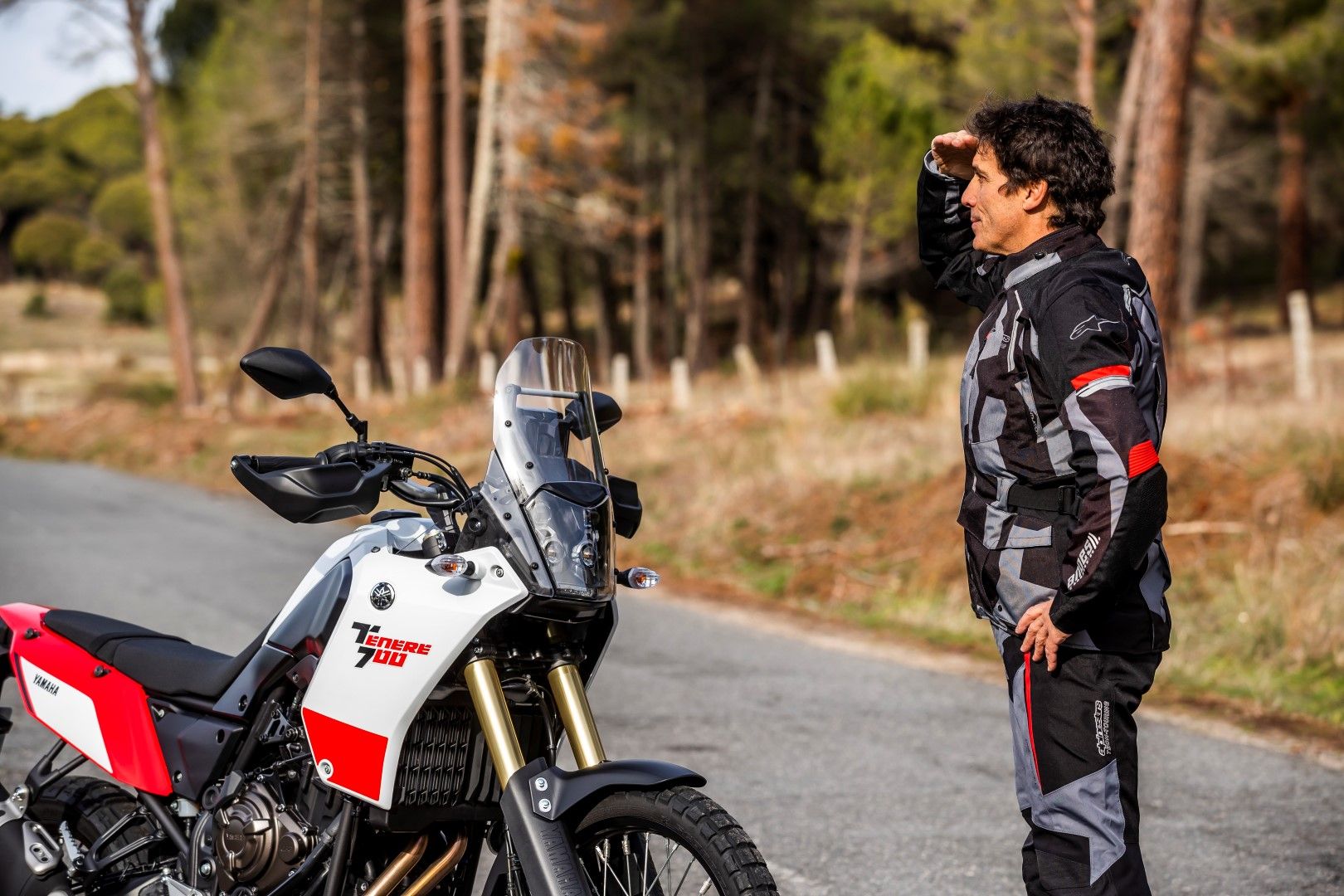 Nuestras favoritas 2019: BMW R 1250 GS, Honda CB650R, KTM 790 Adventure, Suzuki Katana, Triumph Scrambler 1200 XE, Yamaha Ténéré 700