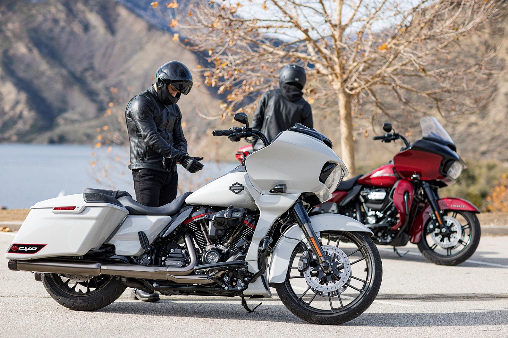 Nuevas Harley-Davidson Fat Boy 30th Aniversario y CVO Road Glide