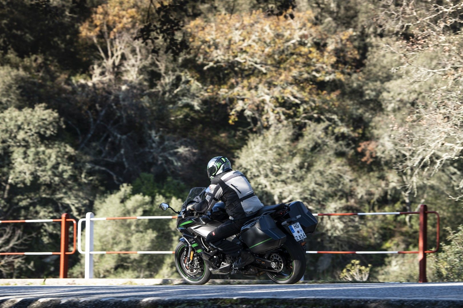 Kawasaki Ninja 1000SX 2020. Fotos