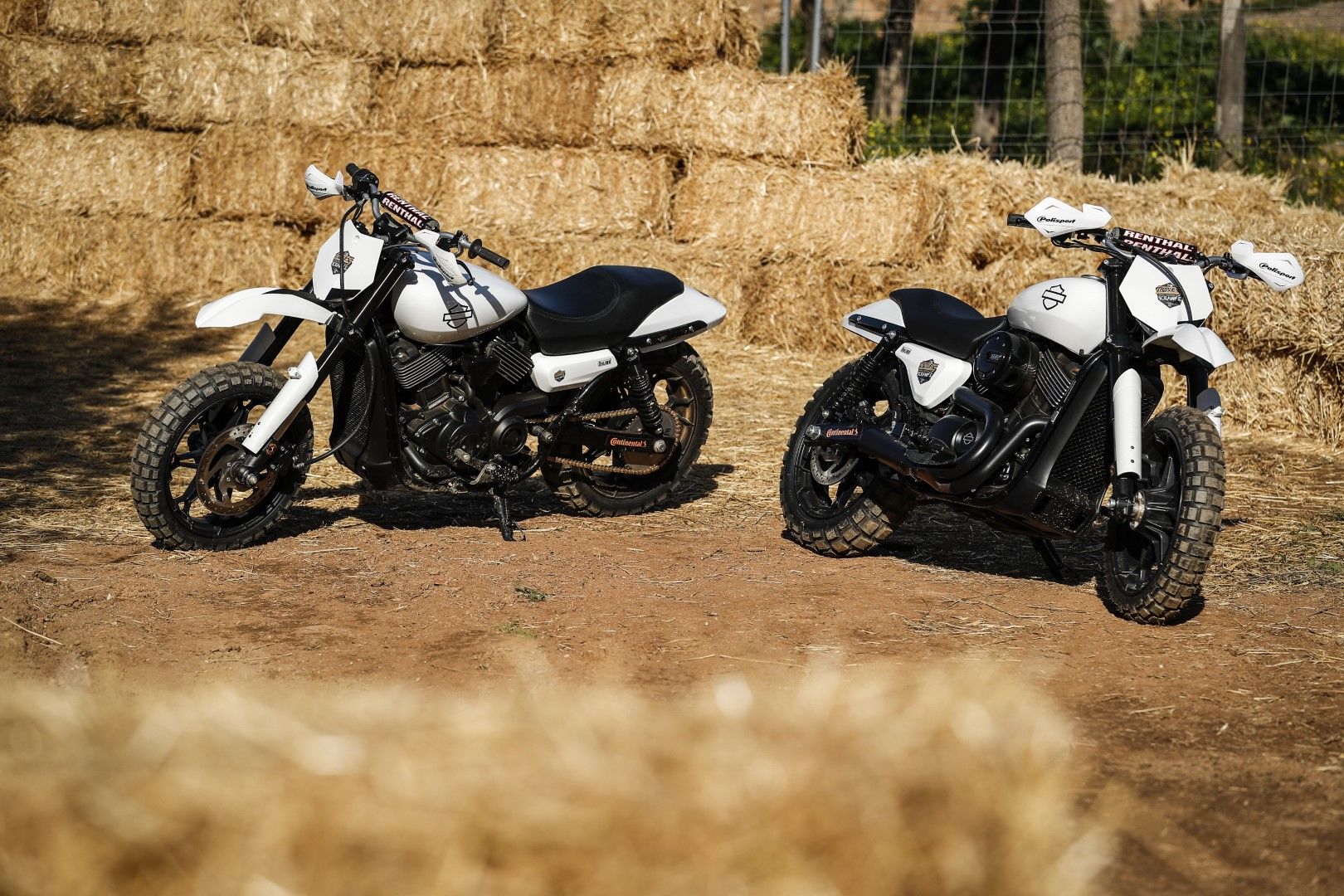 Harley-Davidson Triple S. Fotos