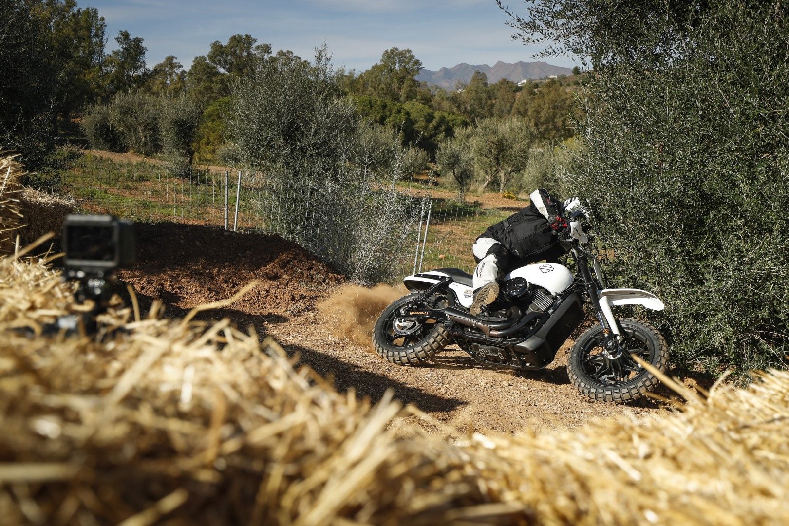 Harley-Davidson Triple S. Fotos