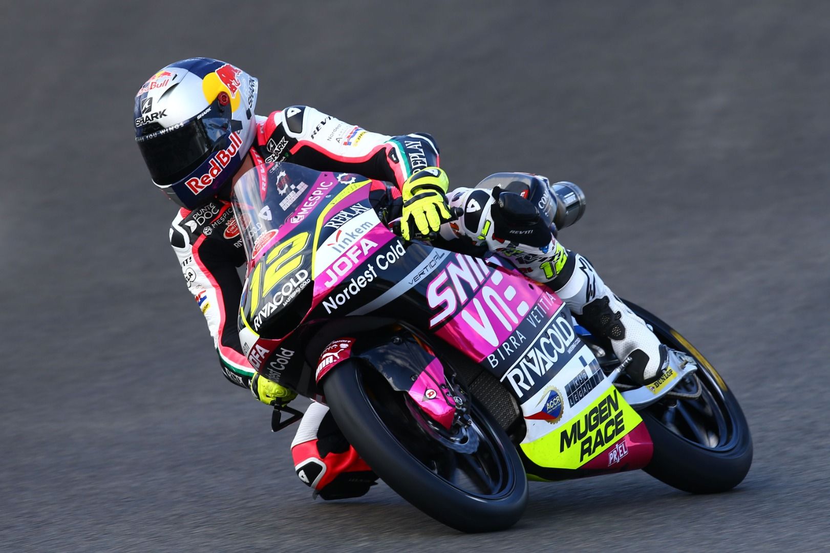 Pilotos Mundial Moto3 2020 test Jerez