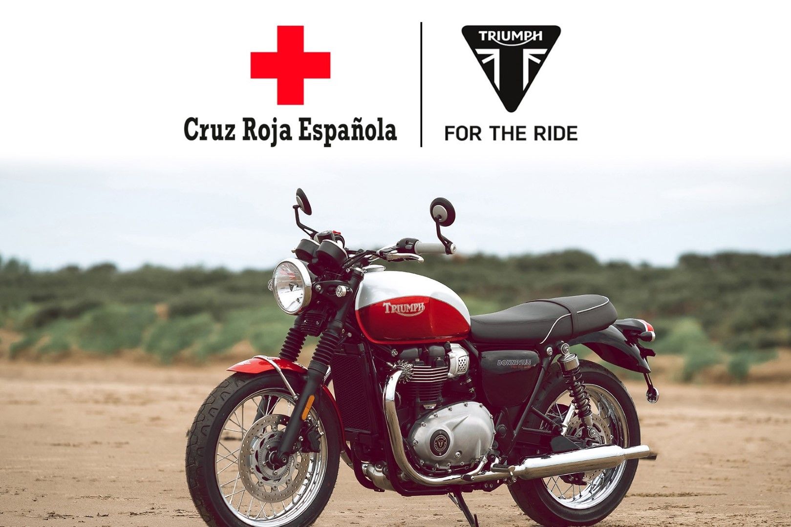 Triumph España sorteará esta Bonneville T100 SE Bud Ekins para colaborar con Cruz Roja RESPONDE en la lucha del Covid-19.