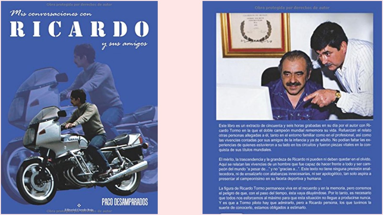 Mis conversaciones con Ricardo y sus amigos / Paco Desamparados