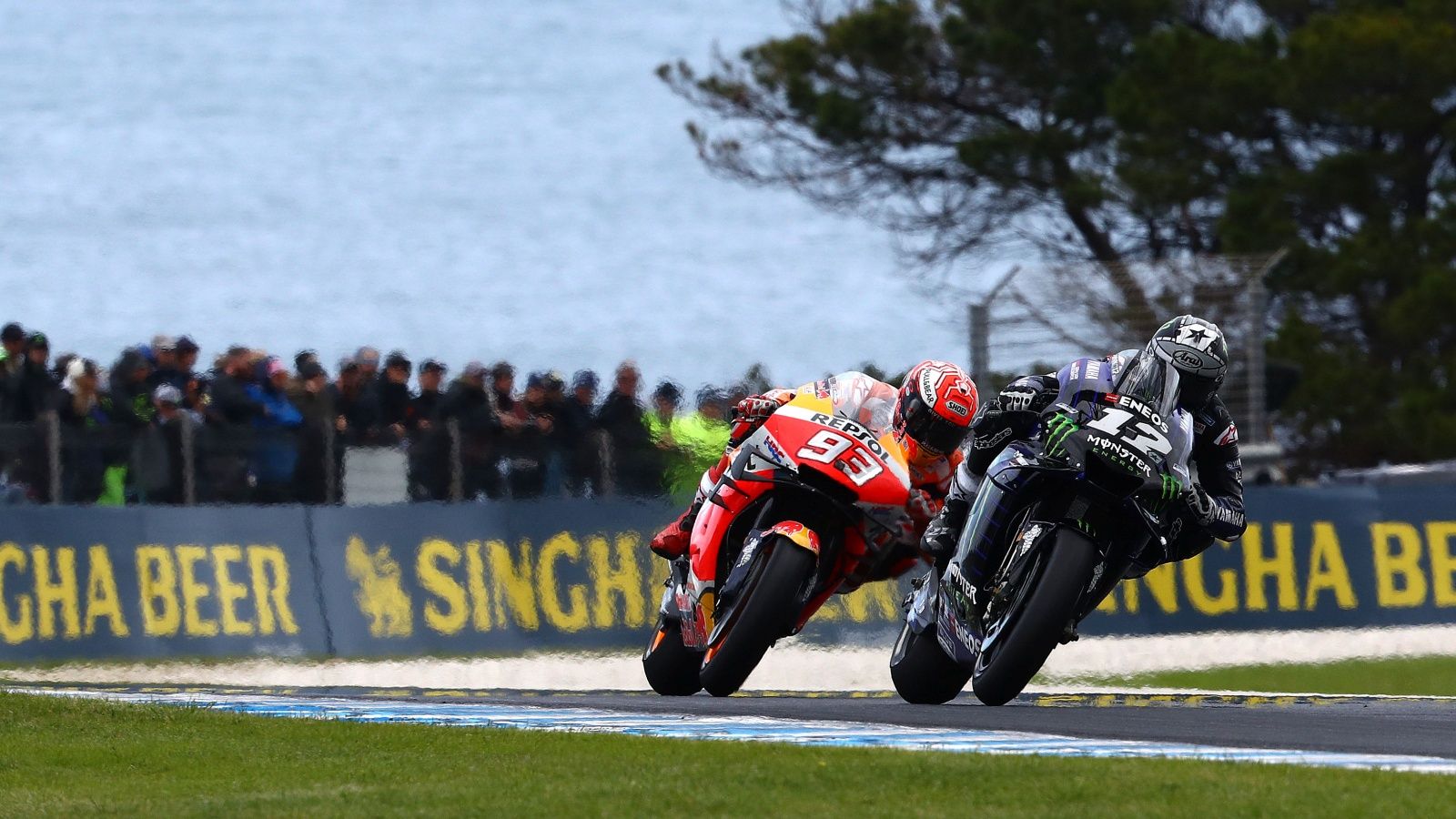 Marc Márquez y Maverick Viñales protagonizaron un bonito duelo el año pasado en Phillip Island (Fotos: Gold & Goose).