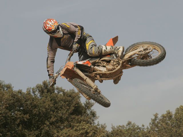 KTM SX y SX-F