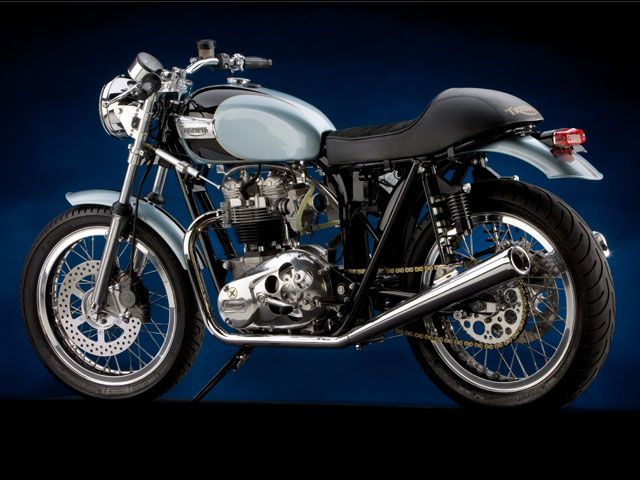 Tribute Triumph