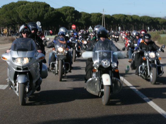 Pingüinos 2008: Se batió el récord