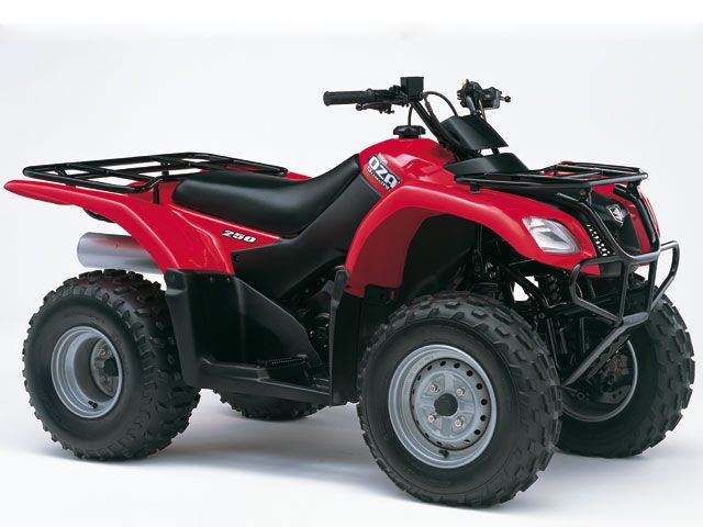 Suzuki ATV (2002-2009)  El gigante despierta