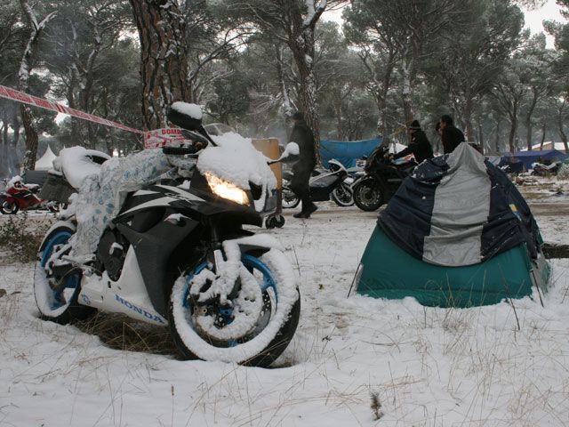 Pingüinos 2009: Galería de imágenes (I)